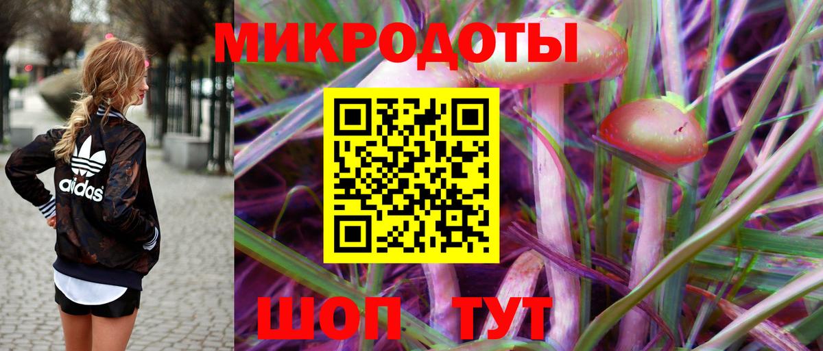 Полысаево  наркошоп  Вход с VPN  Псилоцибиновые грибы Psilocybine cubensis 